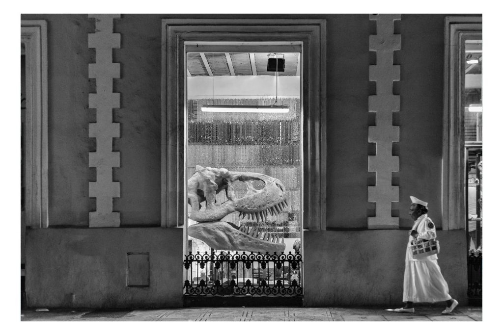 LA_SANADORA_Y_EL_MONSTRUO