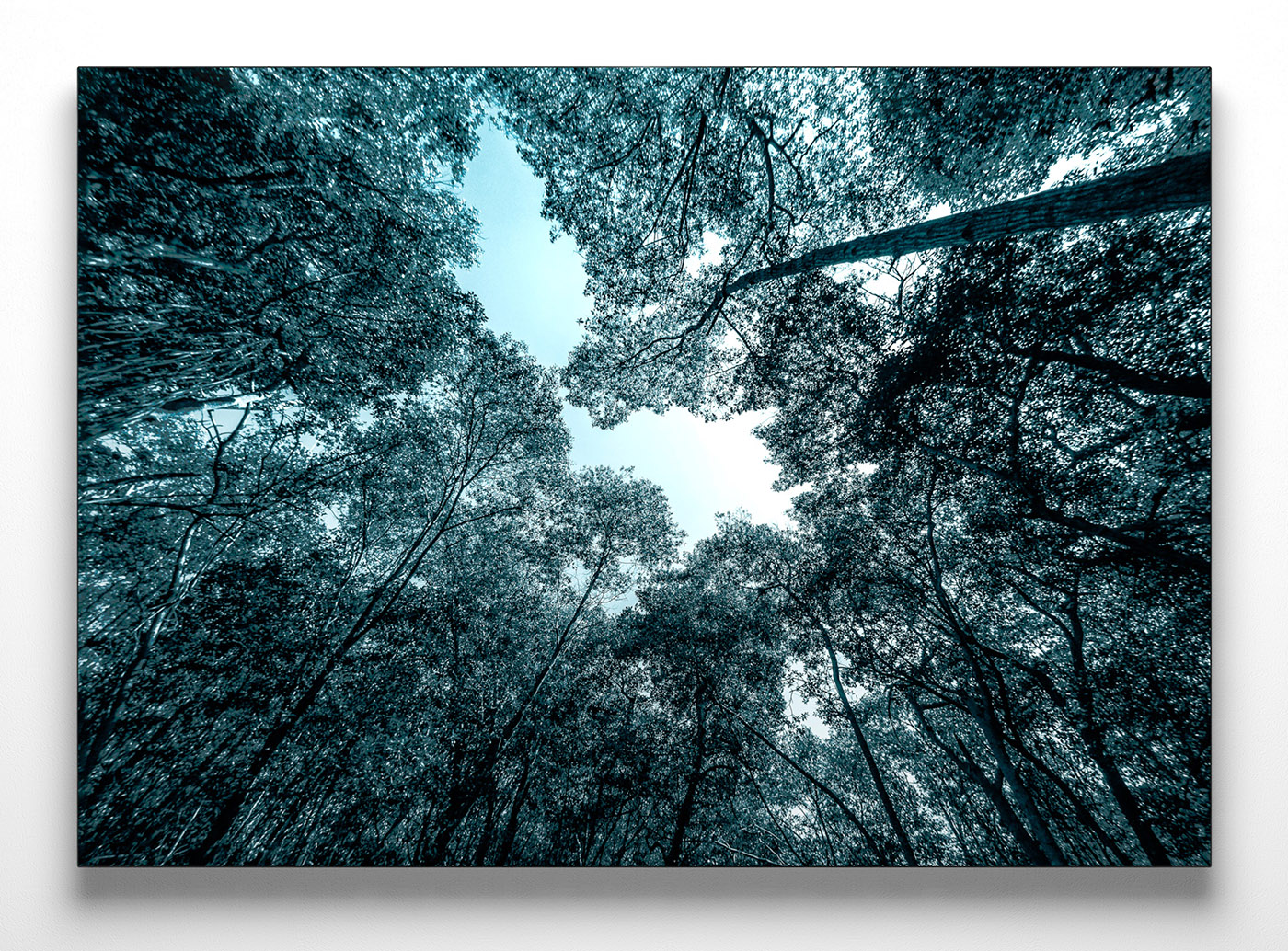 BALDOSERA_Lighter_BGND_1400px